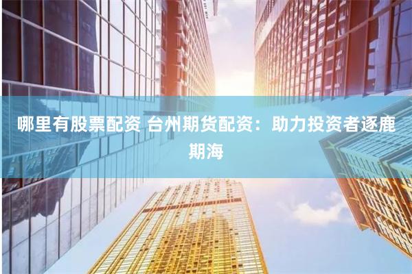 哪里有股票配资 台州期货配资：助力投资者逐鹿期海