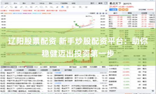 辽阳股票配资 新手炒股配资平台：助你稳健迈出投资第一步
