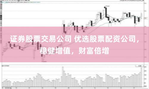 证券股票交易公司 优选股票配资公司，稳健增值，财富倍增